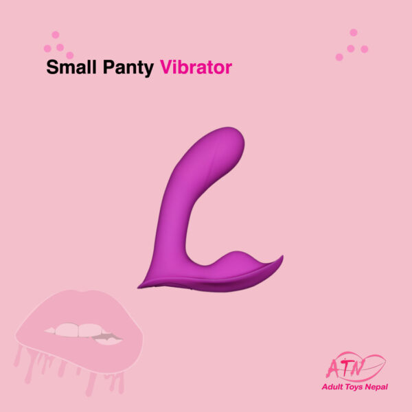 Small Panty Vibrator